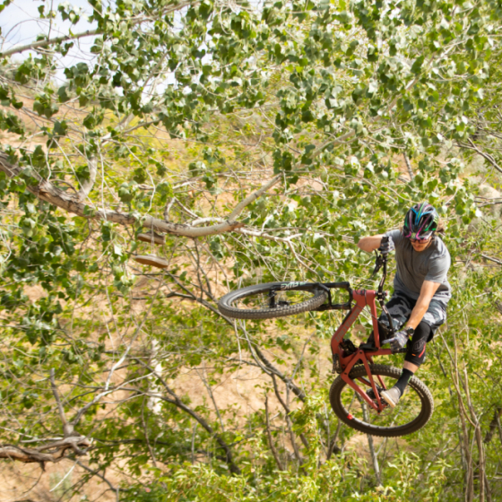 KOLA SANTA CRUZ ZA SUPER CENU!